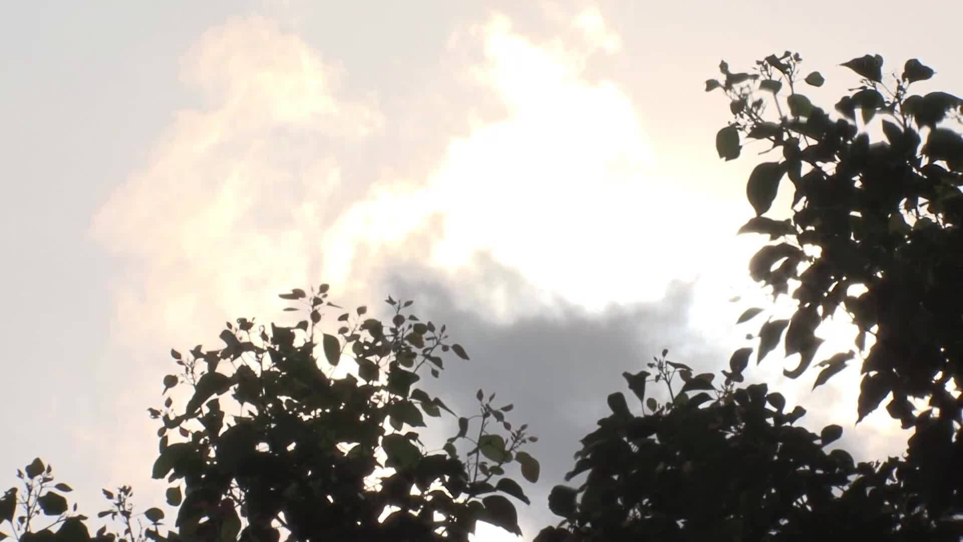 绝对命令订阅 可爱但是，欺负人的讨厌女人被我用金钱的力量在男朋友面前抢走了。美园和花 - AV大平台-中文字幕,成人影片,AV,国产,线上看